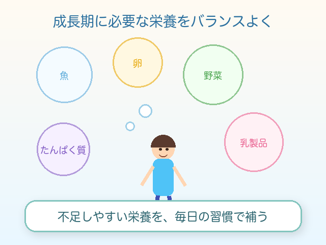 成長期に必要な栄養バランス